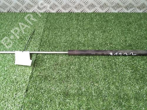 tailgate-lift-support-citroen-c3-ii-sc_-2009-30065975 main image