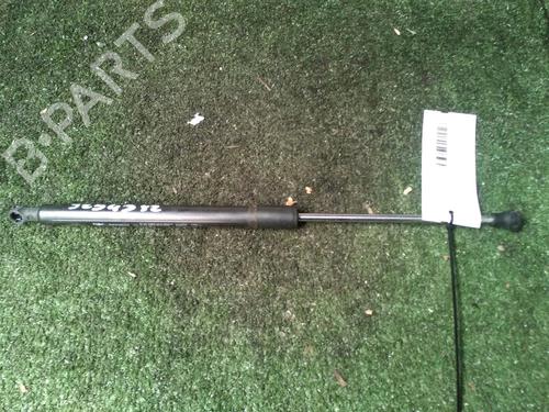 Used Tailgate lift support RENAULT CLIO III (BR0/1, CR0/1) 1.5 dCi (BR0H, CR0H, CR1S, BR1S) (106 hp) 17158909