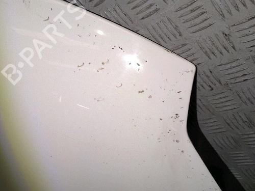 Hood PEUGEOT PARTNER Box Body/MPV (5_, G_) 2.0 HDi | BP30075907C1 