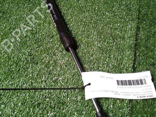 Tailgate lift support RENAULT CLIO III (BR0/1, CR0/1) 1.5 dCi | BP29951343C138 
