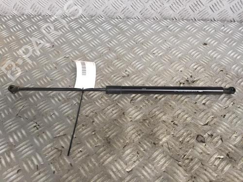 Tailgate lift support CITROËN C3 Picasso (SH_) 1.6 HDi 110 | BP29951248C138
