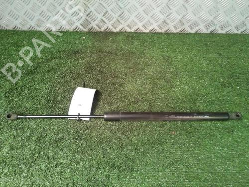 Tailgate lift support RENAULT SCÉNIC III (JZ0/1_) 1.9 dCi (JZ0J, JZ1J, JZ1K, JZ1S) | BP29951883C138 