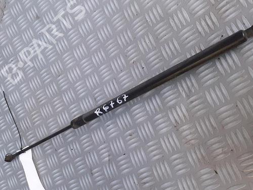 Used Tailgate lift support RENAULT GRAND SCÉNIC III (JZ0/1_) 1.9 dCi (JZ0J, JZ0N, JZ1K, JZ1S) (131 hp) 30072651