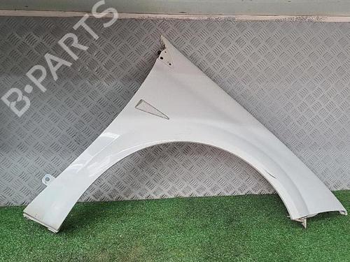 Right front fenders RENAULT MEGANE II (BM0/1_, CM0/1_) 1.5 dCi (BM02, BM13, BM2A, CM02, CM13) | BP30076874C42 