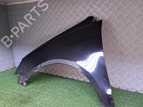 Left front fenders VW POLO (9N_, 9A_) 1.4 TDI | BP24137442C41 