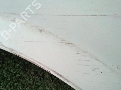 Forkjerm venstre RENAULT CLIO II (BB_, CB_) 1.5 dCi (B/CB3M) | BP29952873C41