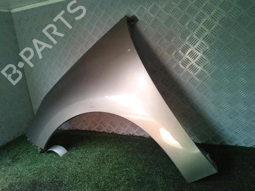 Left front fenders RENAULT SCÉNIC III (JZ0/1_) 1.5 dCi | BP19263856C41 