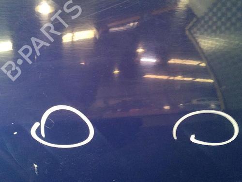 Puerta delantera derecha DACIA LOGAN (LS_) 1.4 (LS0A, LS0C, LS0E, LS0G) (75 hp) 30064328