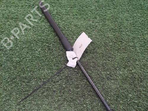 Used Tailgate lift support DACIA SANDERO III 1.0 TCe 90 (91 hp) 25014993