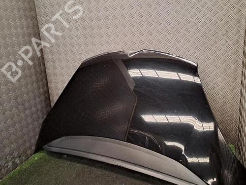 Hood CITROËN C4 Picasso I MPV (UD_) 1.6 HDi 110 | BP30076794C1