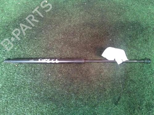 tailgate-lift-support-citroen-c3-picasso-sh_-2008-30073679 main image