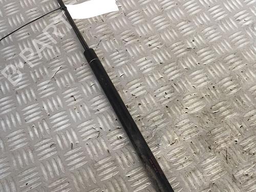 Used Tailgate lift support KIA CARNIVAL II (GQ) 2.9 CRDi (144 hp) 30065176