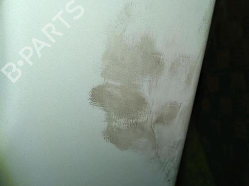 Left front door RENAULT KANGOO Express (FC0/1_) D 55 1.9 (FC0D) | BP30076394C2 