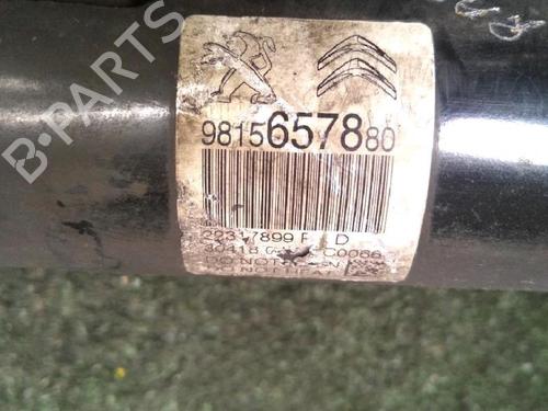 Right front shock absorber CITROËN C3 III (SX) 1.2 THP 110 (SXHNPS, SXHNZT, SXHNZ6) | BP30073129M17 