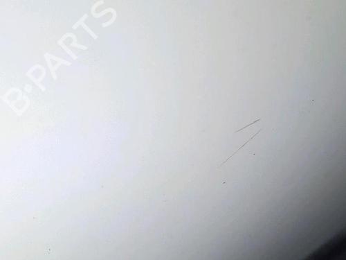 Right front door RENAULT CLIO II (BB_, CB_) 1.5 dCi (B/CB3M) | BP29953322C3