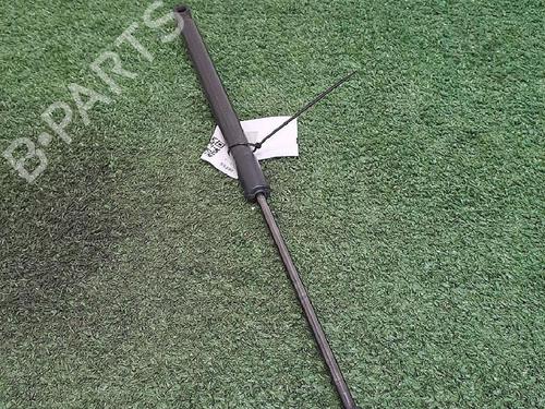 tailgate-lift-support-renault-clio-iv-bh_-2012-2013-2014-2015-2016-2017-2018-2019-2020-2021-29947845 main image