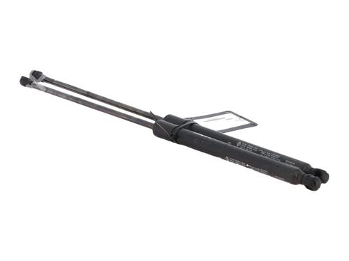 tailgate-lift-support-renault-arkana-i-lcm_-ldn_-2019-36055647 main image
