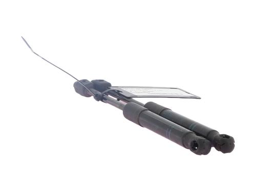 hood-lift-support-bmw-1-f20-2011-2012-2013-2014-2015-2016-2017-2018-2019-30931553 main image