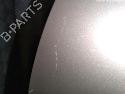 Left front door RENAULT MEGANE II (BM0/1_, CM0/1_) 1.6 16V | BP18021356C2 