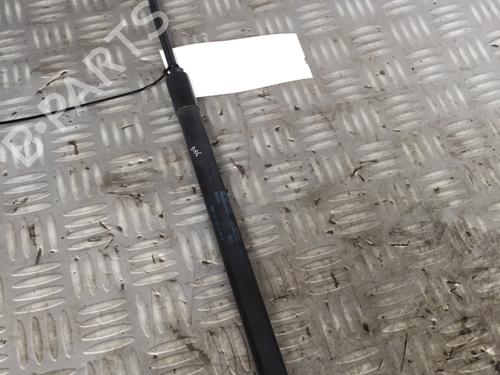 Used Tailgate lift support VW POLO V (6R1, 6C1) 1.2 (70 hp) 17162737
