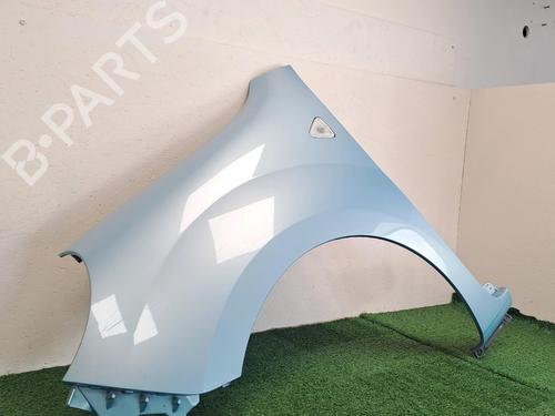 Left front fenders RENAULT KANGOO / GRAND KANGOO II (KW0/1_) 1.5 dCi 85 (KW0K, KW0L, KW0B) | BP29047211C41 
