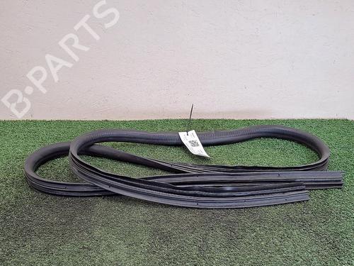 rubber-door-seal-renault-twingo-iii-bcm_-bca_-2014-29949072 main image