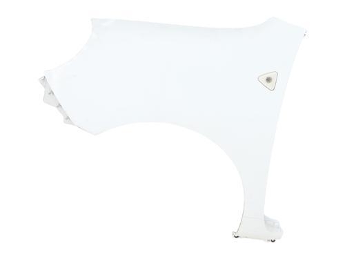 left-front-fenders-renault-kangoo-express-fw01_-2008-38185215 main image