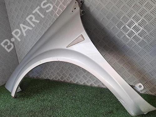 Left front fenders RENAULT MEGANE II (BM0/1_, CM0/1_) 1.5 dCi (BM1F, CM1F) | BP30076770C41