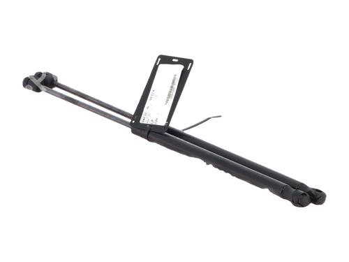tailgate-lift-support-audi-a4-b7-avant-8ed-2004-2005-2006-2007-2008-36055700 main image