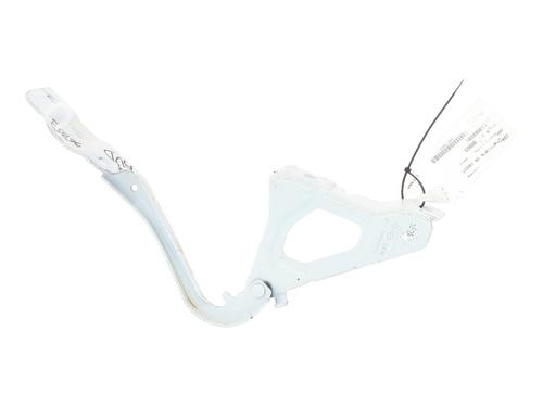 hingedoor-check-strap-renault-clio-v-b7_-2019-33168859 main image