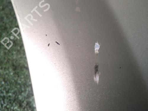 Left front fenders RENAULT MEGANE II Coupé-Cabriolet (EM0/1_) 2.0 | BP18260935C41 