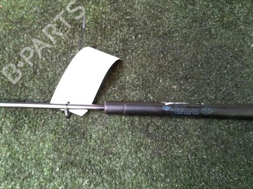 Used Tailgate lift support RENAULT CLIO II (BB_, CB_) 1.5 dCi (B/CB07) (65 hp) 30073312