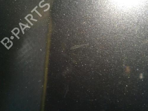 Hood RENAULT GRAND SCÉNIC II (JM0/1_) 1.9 dCi (JM14) | BP24651932C1 