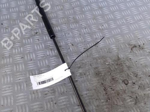 Tailgate lift support FIAT DOBLO MPV (119_, 223_) 1.3 JTD 16V | BP30072620C138