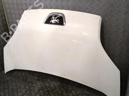 Hood PEUGEOT BIPPER (AA_) 1.4 HDi | BP30064862C1 