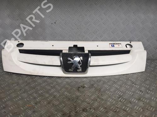 Used Grille Grille 30069787 30069787