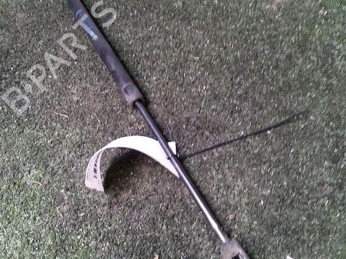 Used Tailgate lift support RENAULT SCÉNIC II (JM0/1_) 1.5 dCi (JM1E, JM16) (106 hp) 30073354