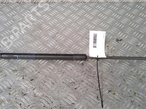 Used Tailgate lift support SUZUKI SWIFT IV (FZ, NZ) 1.6 (AZG416, AZH416, RS416, ZC32S, ZA32S) (136 hp) 29951314
