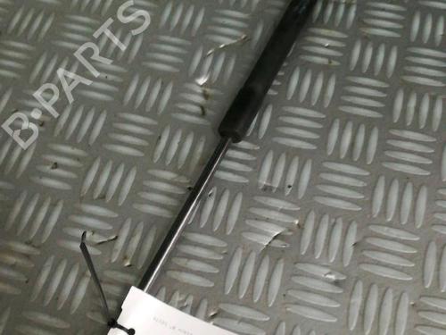 Tailgate lift support OPEL MERIVA A MPV (X03) 1.7 CDTI (E75) | BP17162480C138 