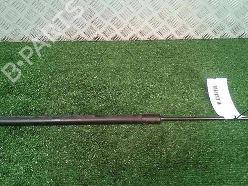 Tailgate lift support RENAULT GRAND SCÉNIC III (JZ0/1_) 1.9 dCi (JZ0J, JZ0N, JZ1K, JZ1S) | BP30073557C138