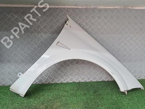 Right front fenders RENAULT MEGANE II (BM0/1_, CM0/1_) 1.5 dCi (BM02, BM13, BM2A, CM02, CM13) | BP30076874C42 