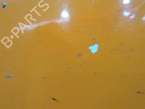 Right front door NISSAN INTERSTAR Van (X70) dCi 120 | BP30073552C3 