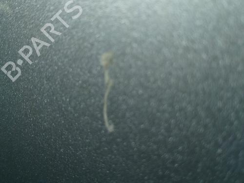 Right front door KIA VENGA (YN) 1.6 CRDi 115 | BP31191680C3