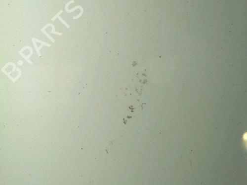 Tailgate FIAT 500 (312_) 1.2 (312AXA1A) | BP24480887C6 