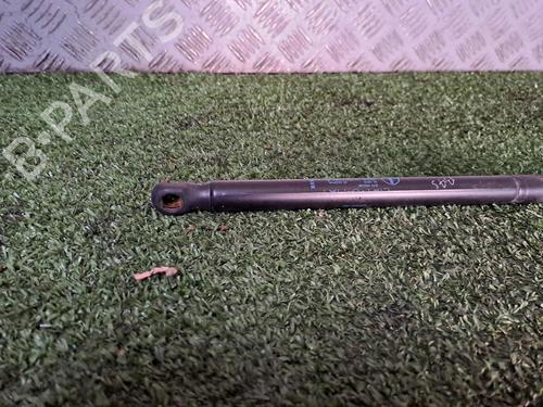 Tailgate lift support RENAULT MEGANE II (BM0/1_, CM0/1_) 1.9 dCi | BP21169207C138 