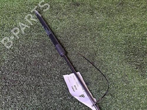 Amortiguador portón/maletero NISSAN QASHQAI I (J10, NJ10) 1.6 dCi (130 hp) 29953219