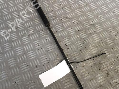 Used Tailgate lift support KIA CARNIVAL II (GQ) 2.9 CRDi (144 hp) 30065175