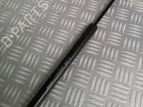 tailgate-lift-support-dacia-sandero-ii-2012-30074338 main image