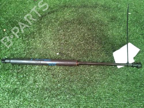 tailgate-lift-support-renault-twingo-ii-cn0_-2007-30073792 main image