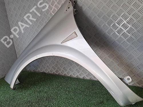 Left front fenders RENAULT MEGANE II (BM0/1_, CM0/1_) 1.5 dCi (BM1F, CM1F) | BP30076770C41